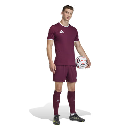 Adidas Entrada 26 Matchday Shorts