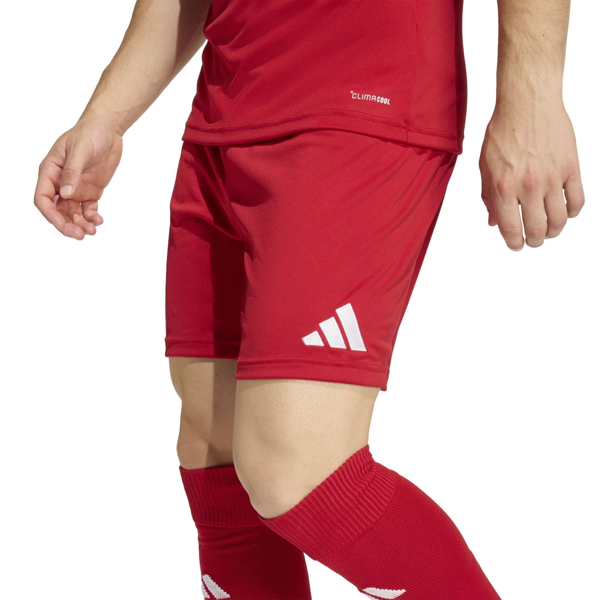Adidas Entrada 26 Matchday Shorts - Queensferry Sports