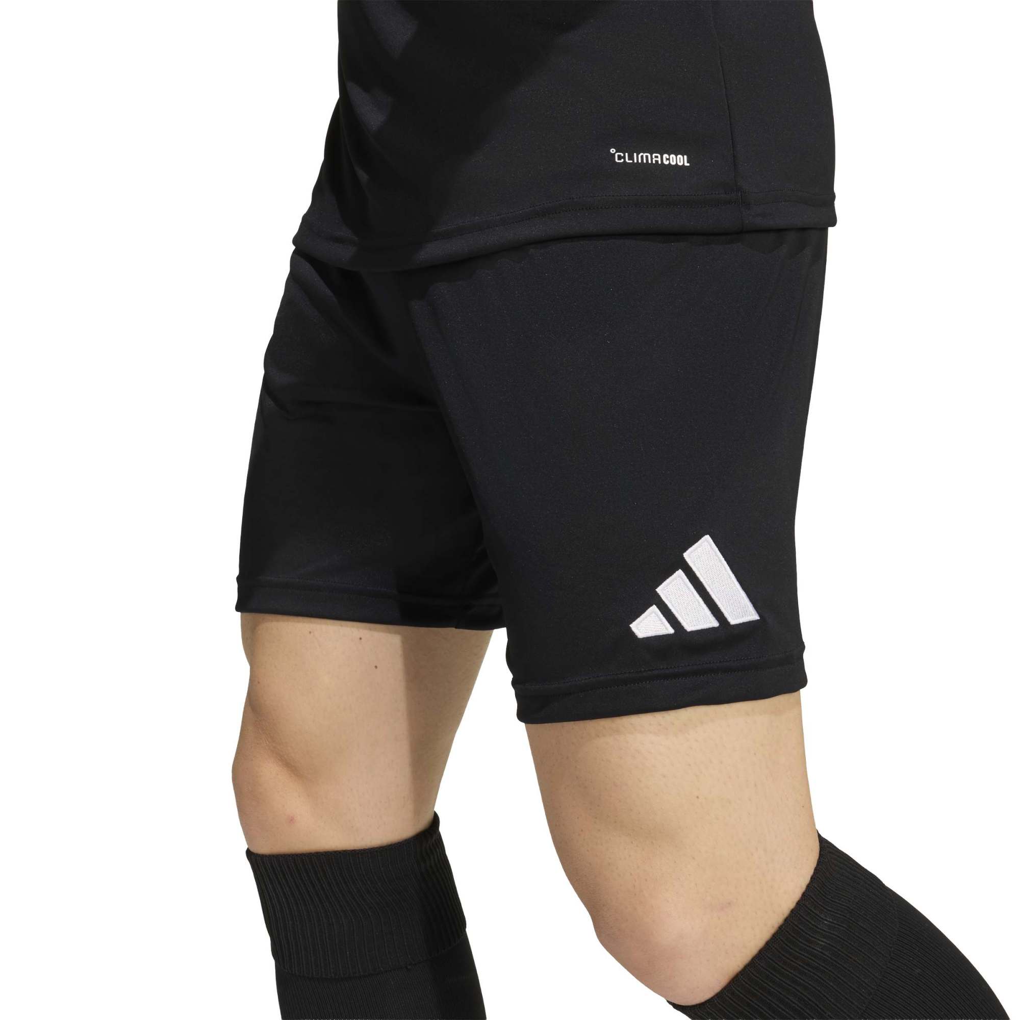 Adidas Entrada 26 Matchday Shorts - Queensferry Sports