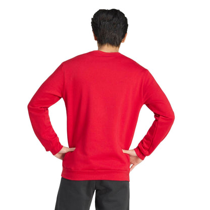 Adidas Entrada 26 Sweatshirt