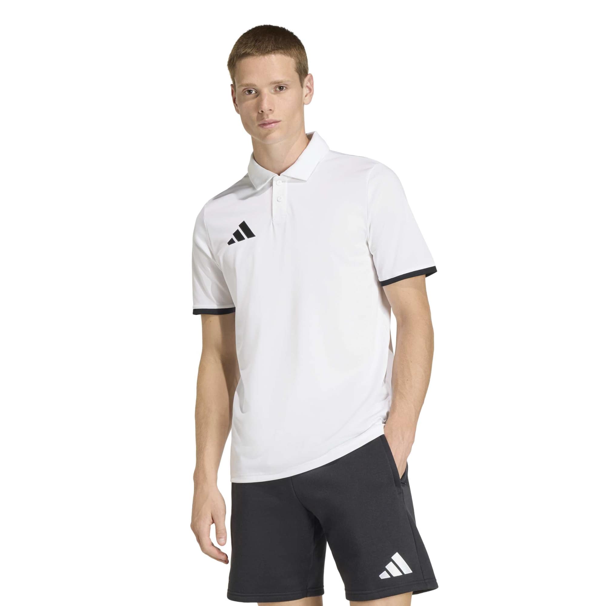 Adidas Entrada 26 Polo