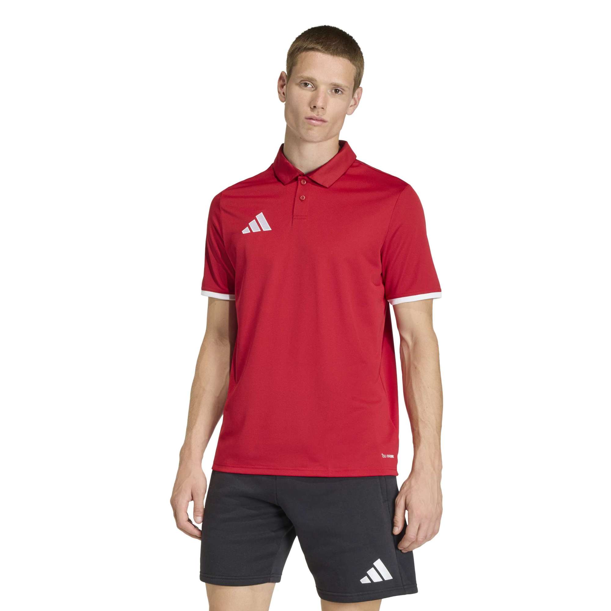 Adidas Entrada 26 Polo