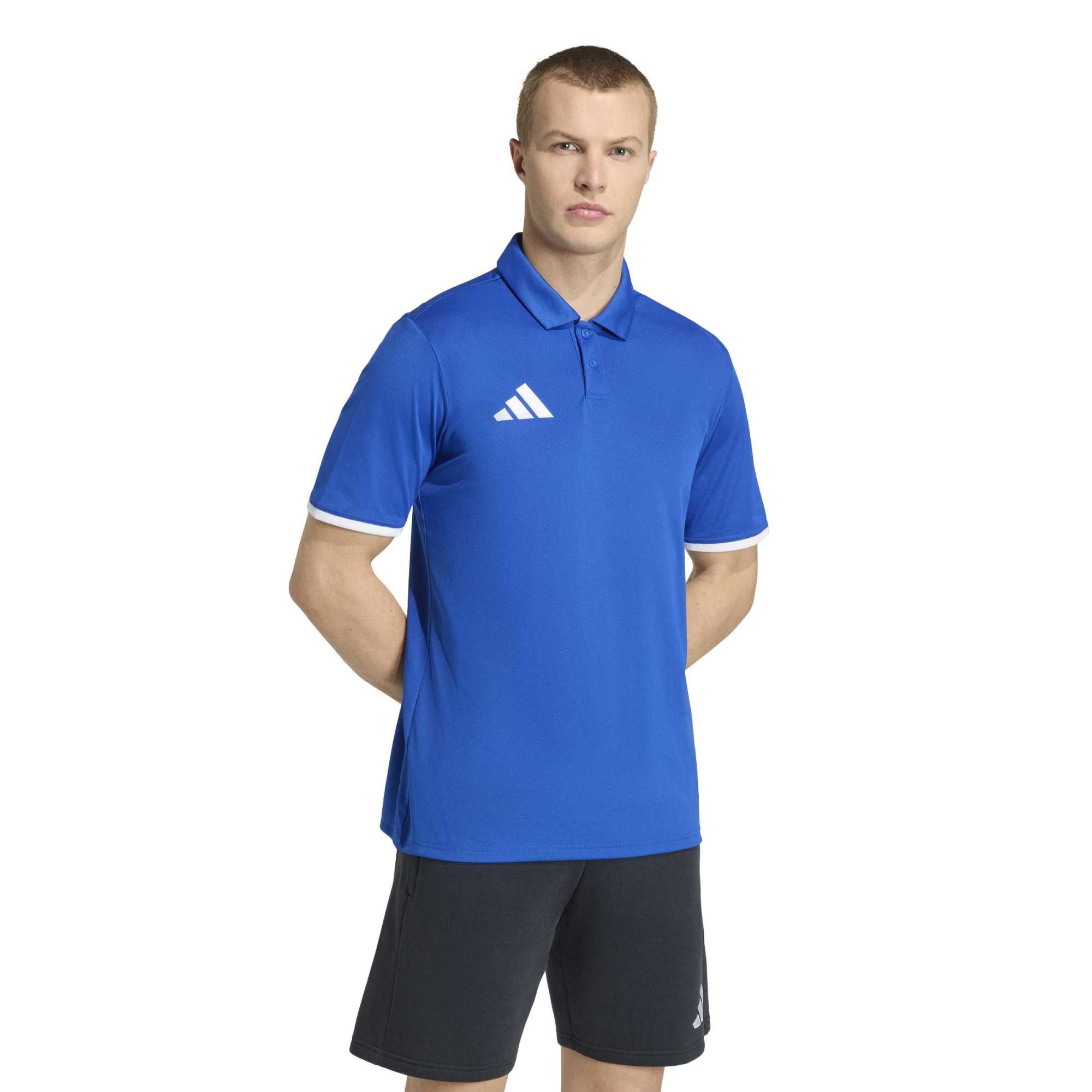 Adidas Entrada 26 Polo