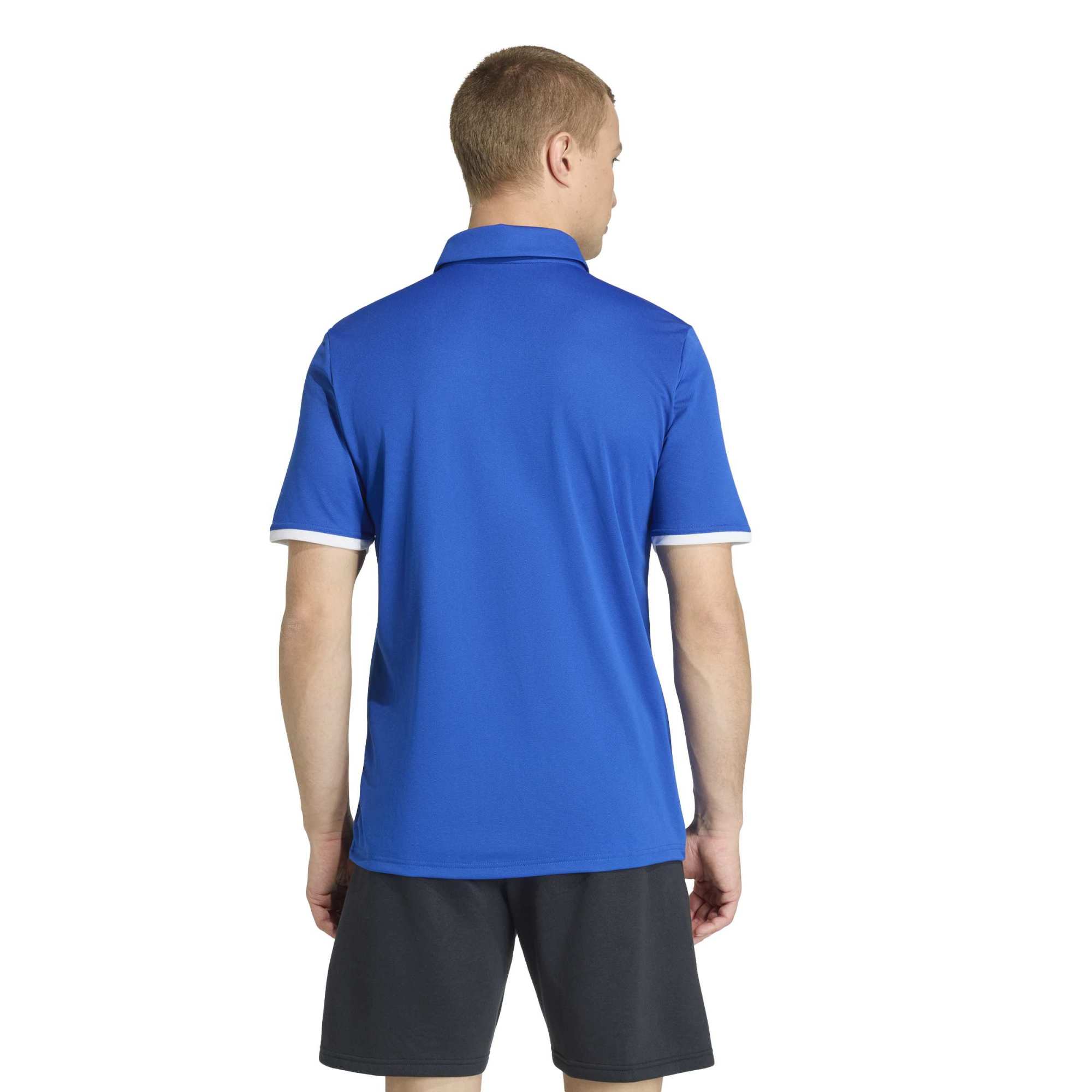 Adidas Entrada 26 Polo