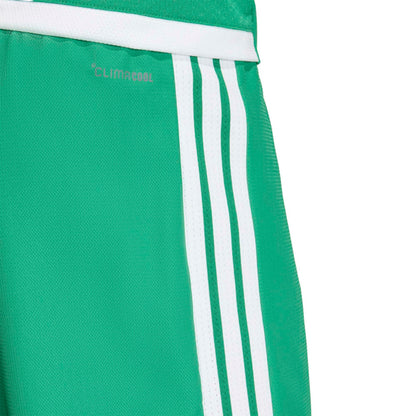Adidas Tiro 26 Competition Matchday Shorts