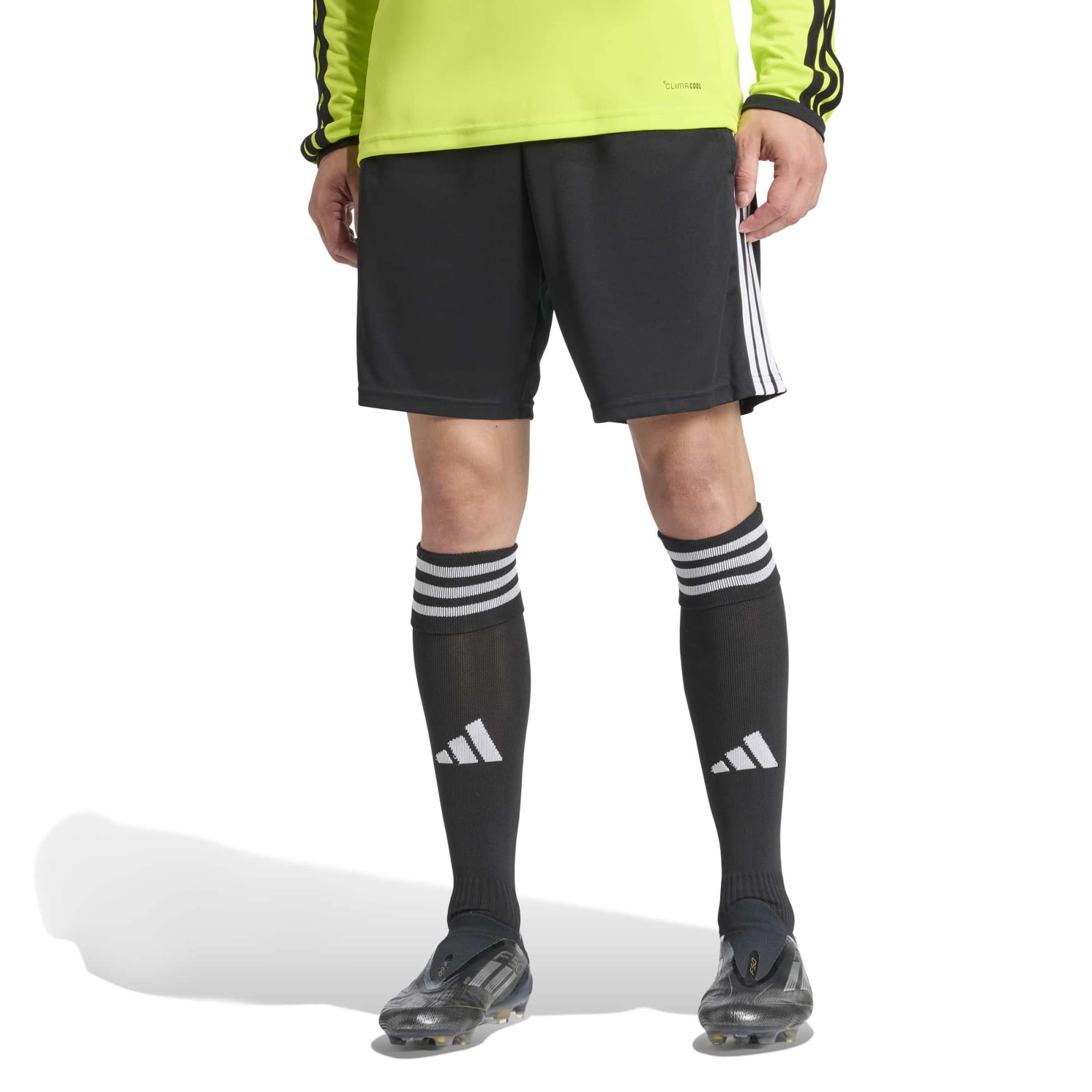 Adidas Referee 26 Shorts