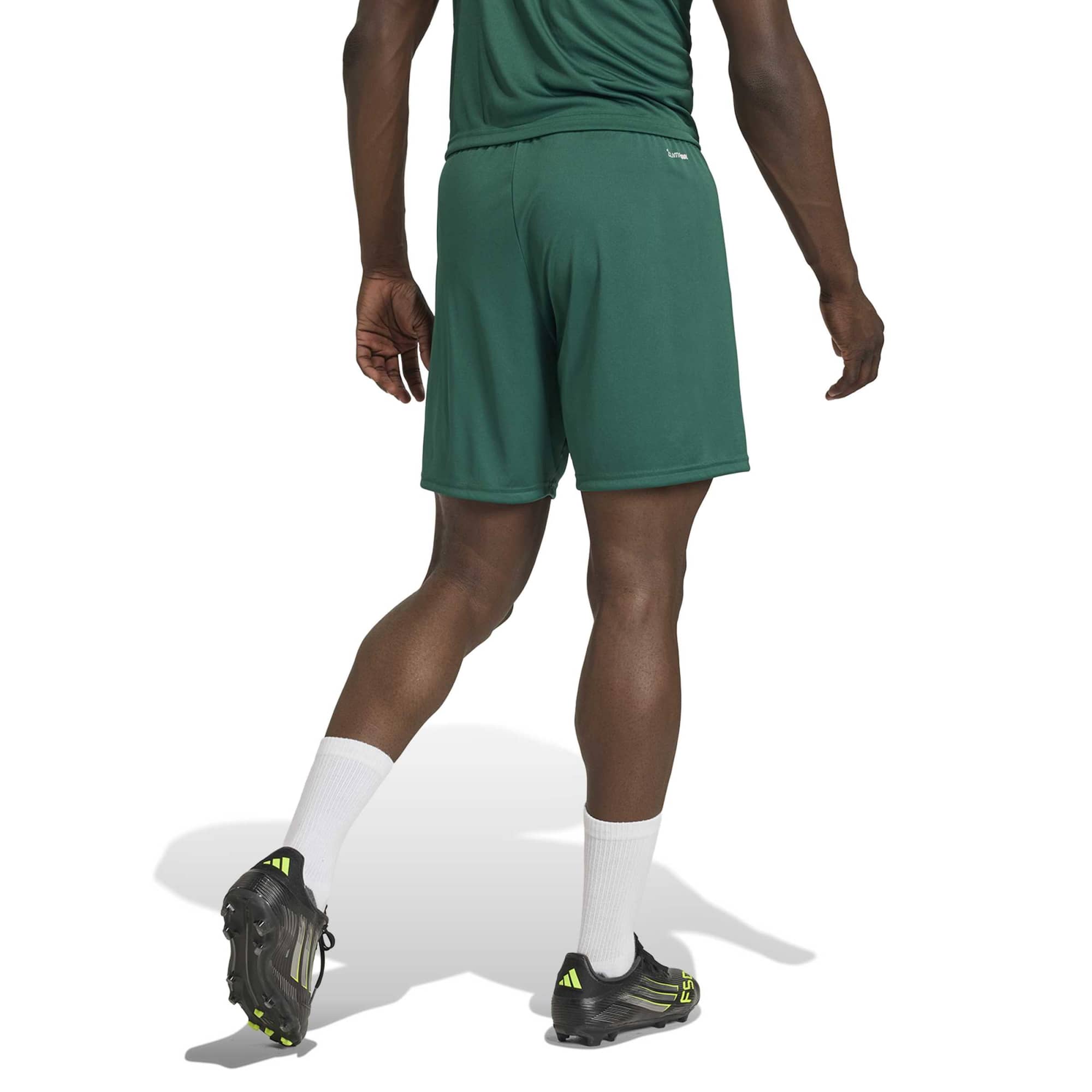 Adidas Entrada 26 Matchday Shorts