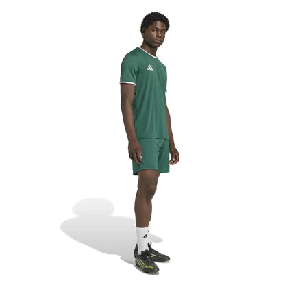 Adidas Entrada 26 Matchday Shorts