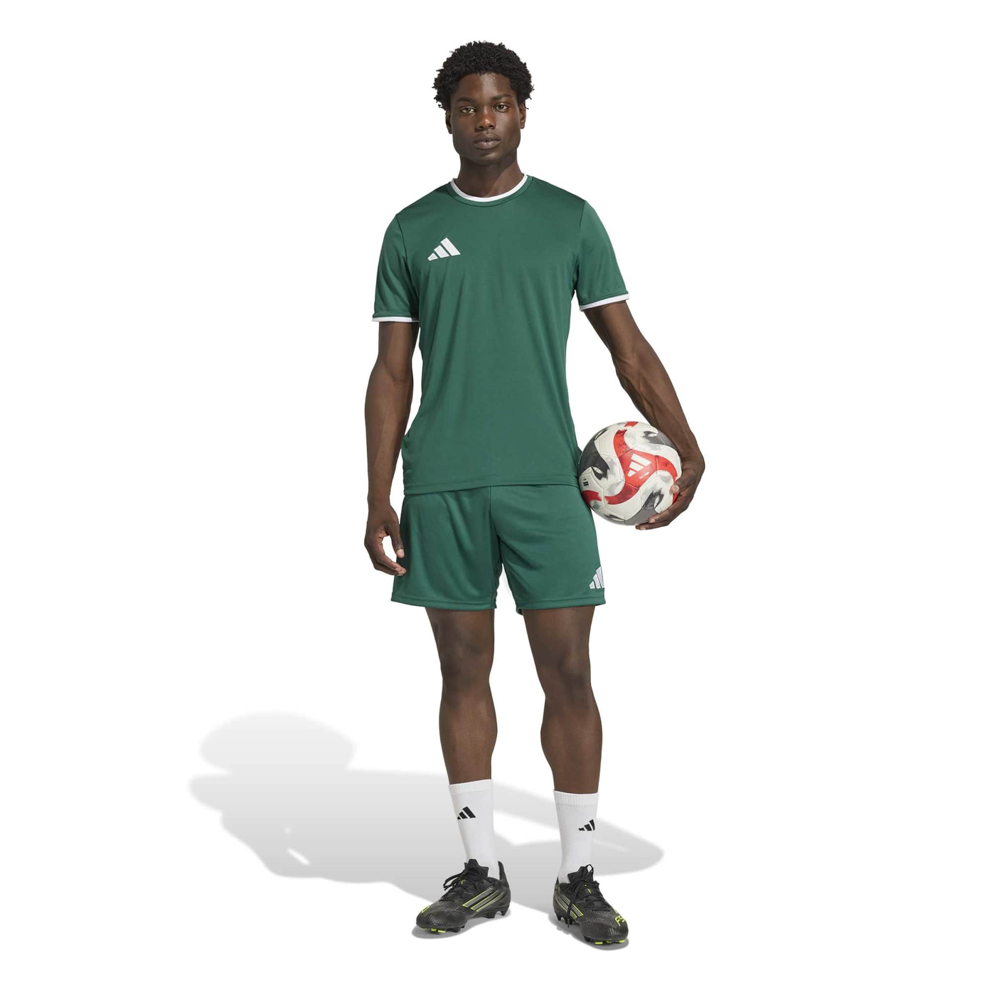 Adidas Entrada 26 Matchday Shorts