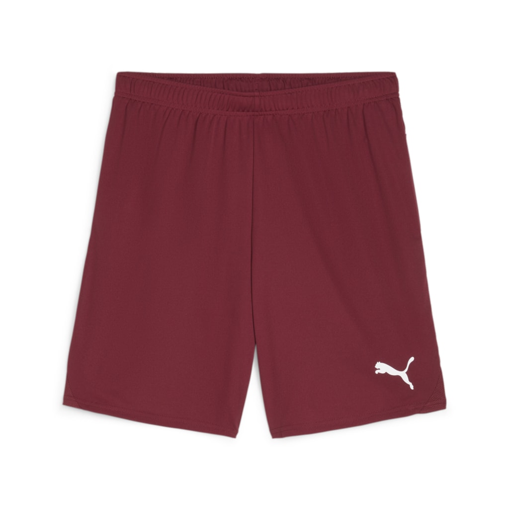 Puma Team Goal Shorts