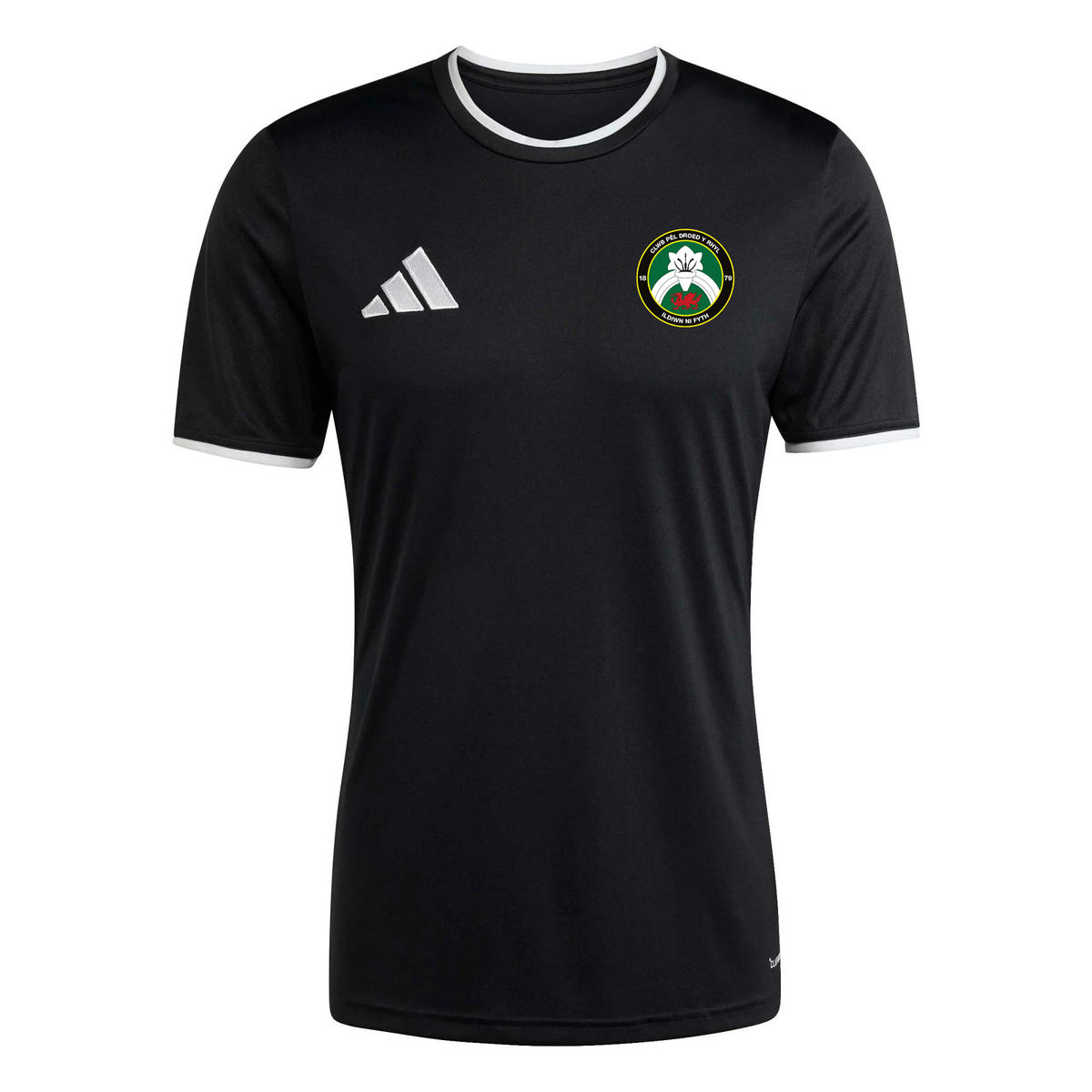 Rhyl 1879 Training T-Shirt
