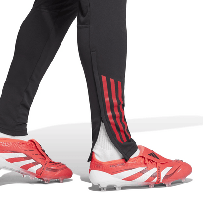 Connah's Quay Nomads 2025/26 Players Training Pants