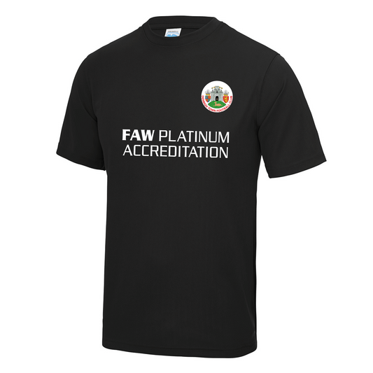 Denbigh Town FC Training T-Shirt
