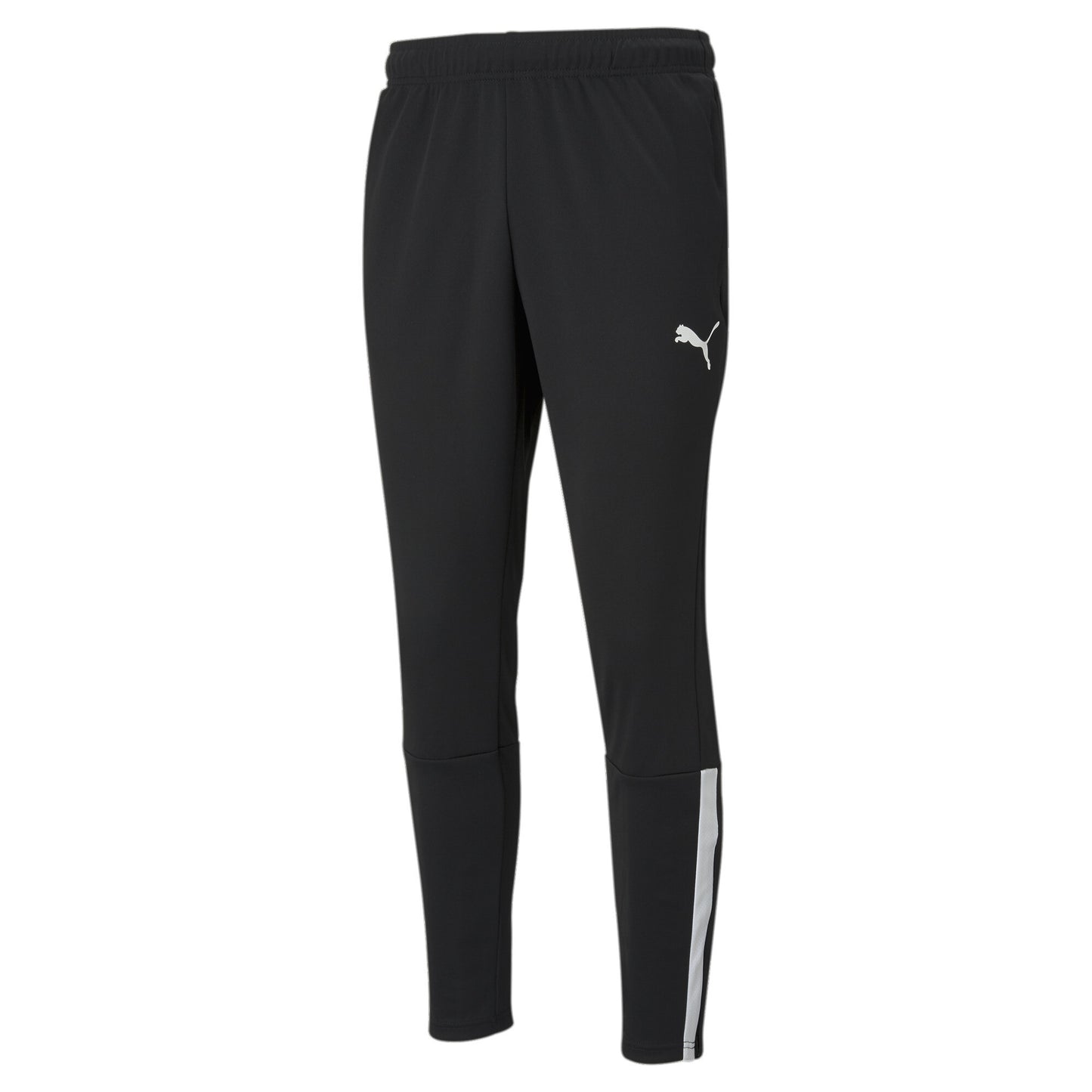 Puma Team Liga Training Pants