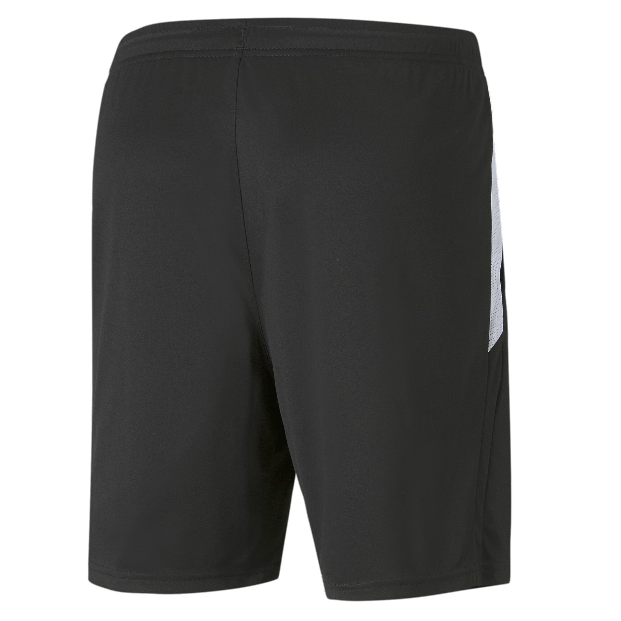 Puma Team Liga Training Shorts