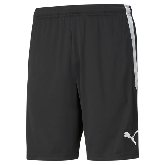 Puma Team Liga Training Shorts