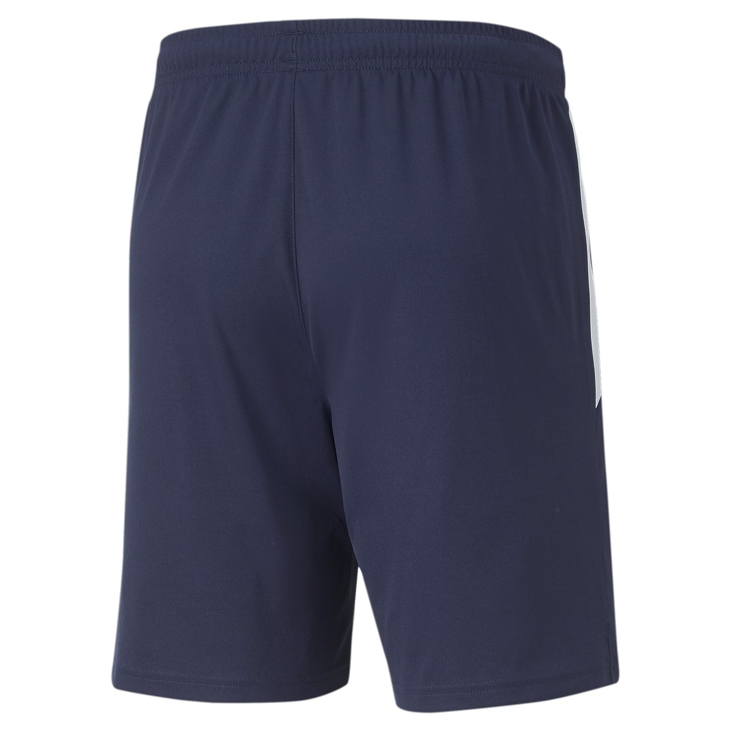 Puma Team Liga Training Shorts