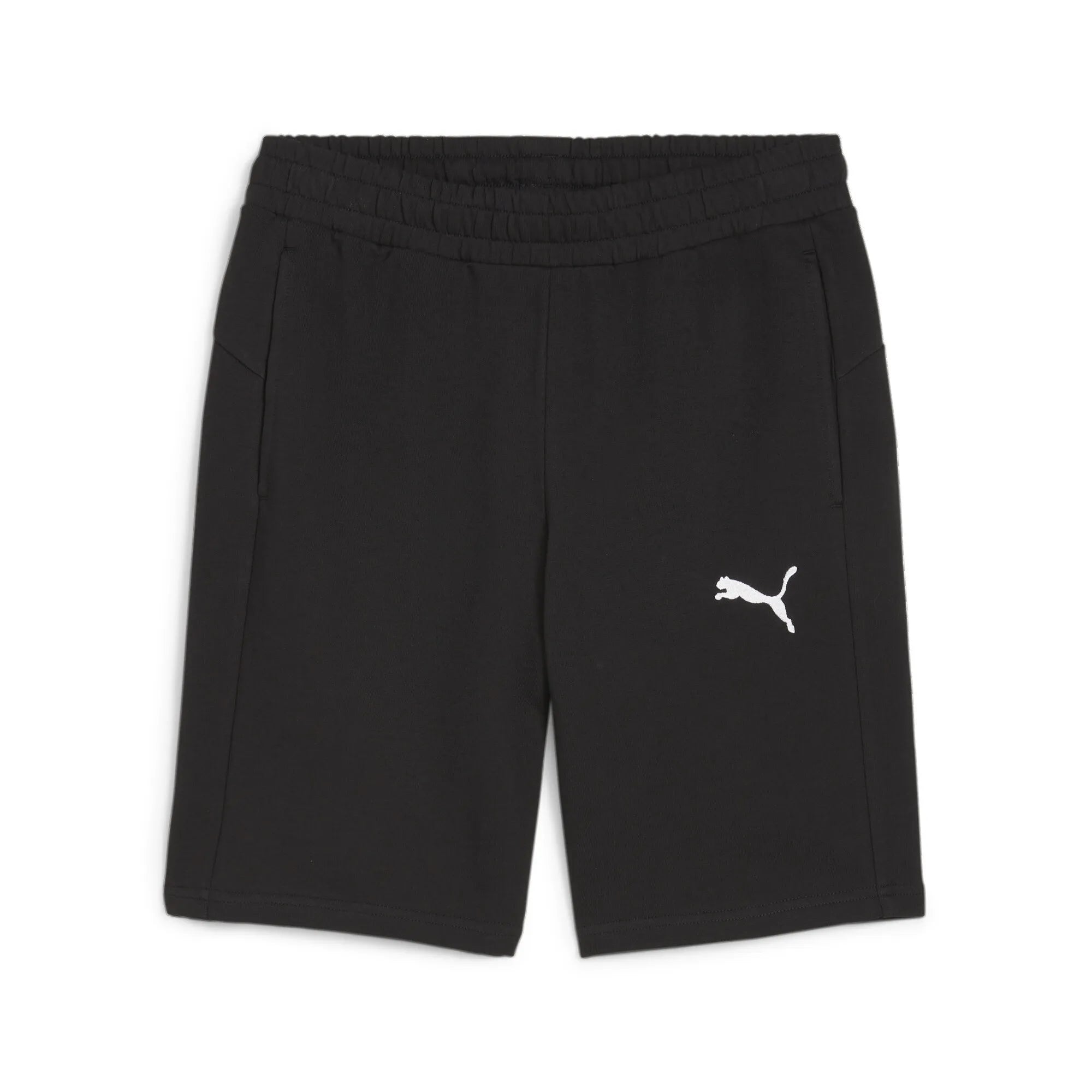 Puma Team Goal Casuals Shorts