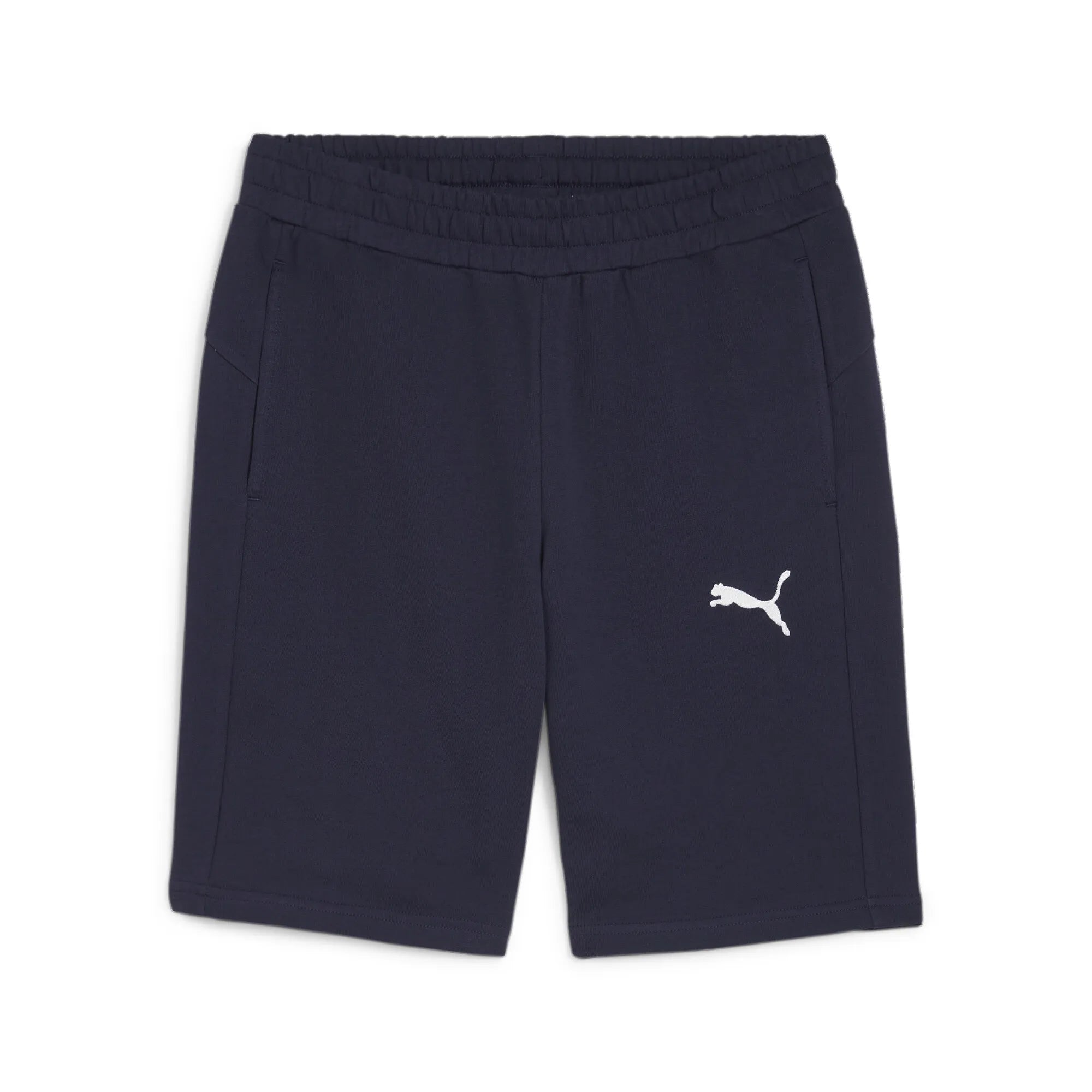 Puma Team Goal Casuals Shorts