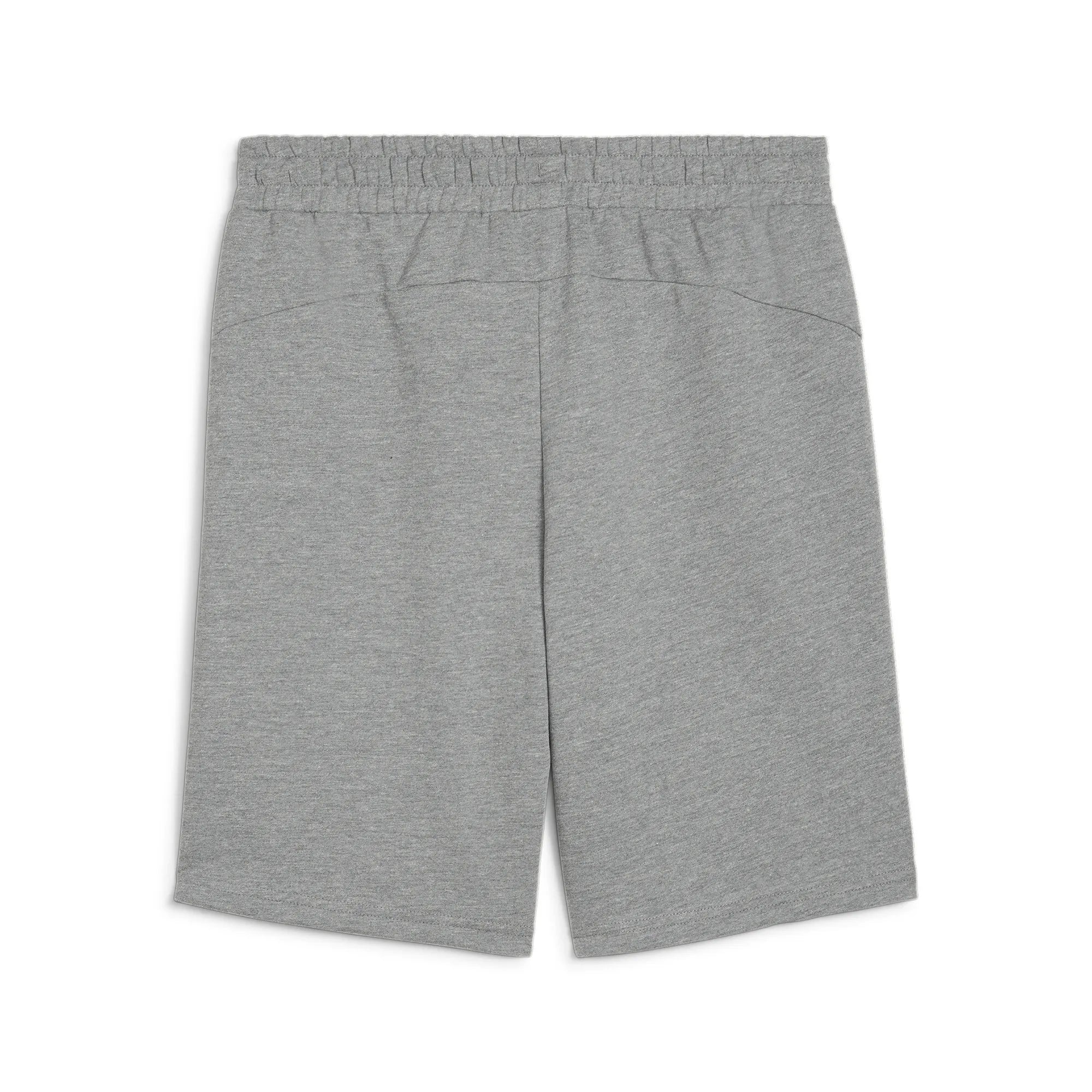 Puma Team Goal Casuals Shorts