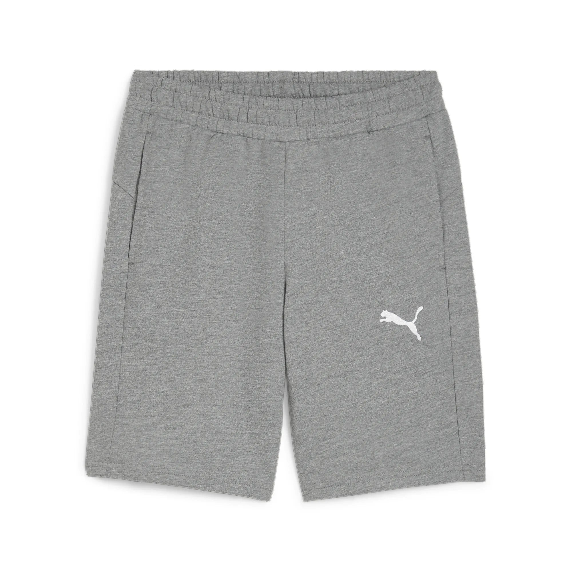 Puma Team Goal Casuals Shorts