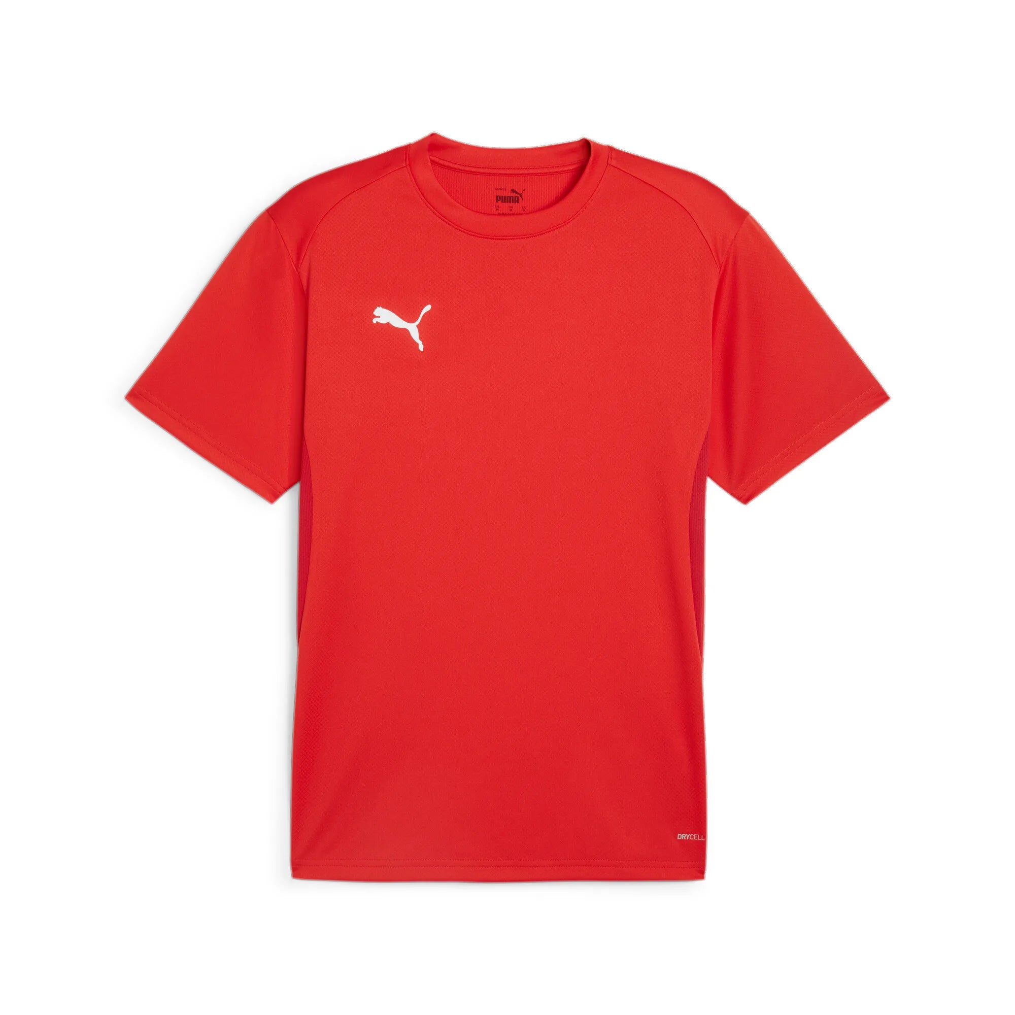 Puma Team Goal Jersey