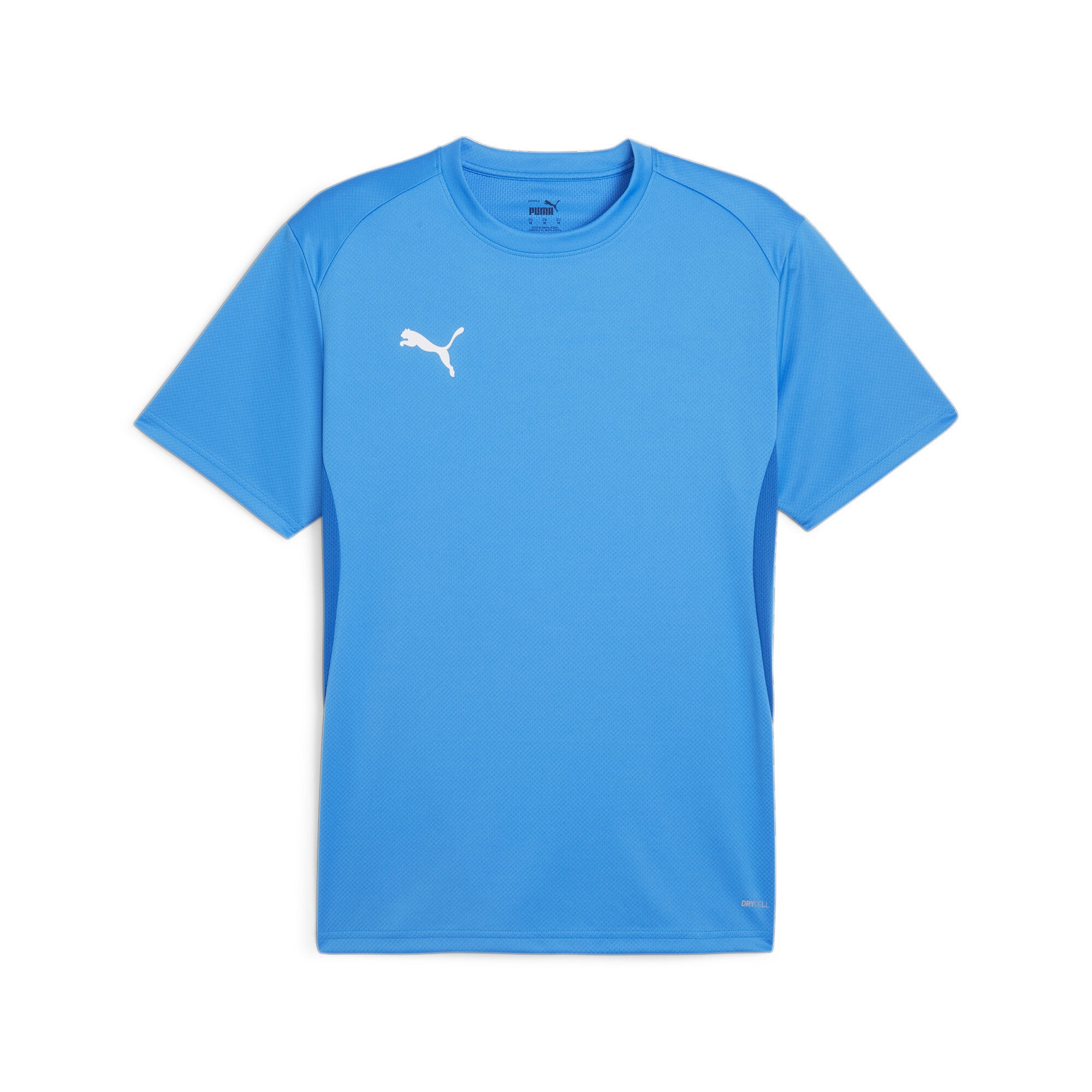 Puma Team Goal Jersey