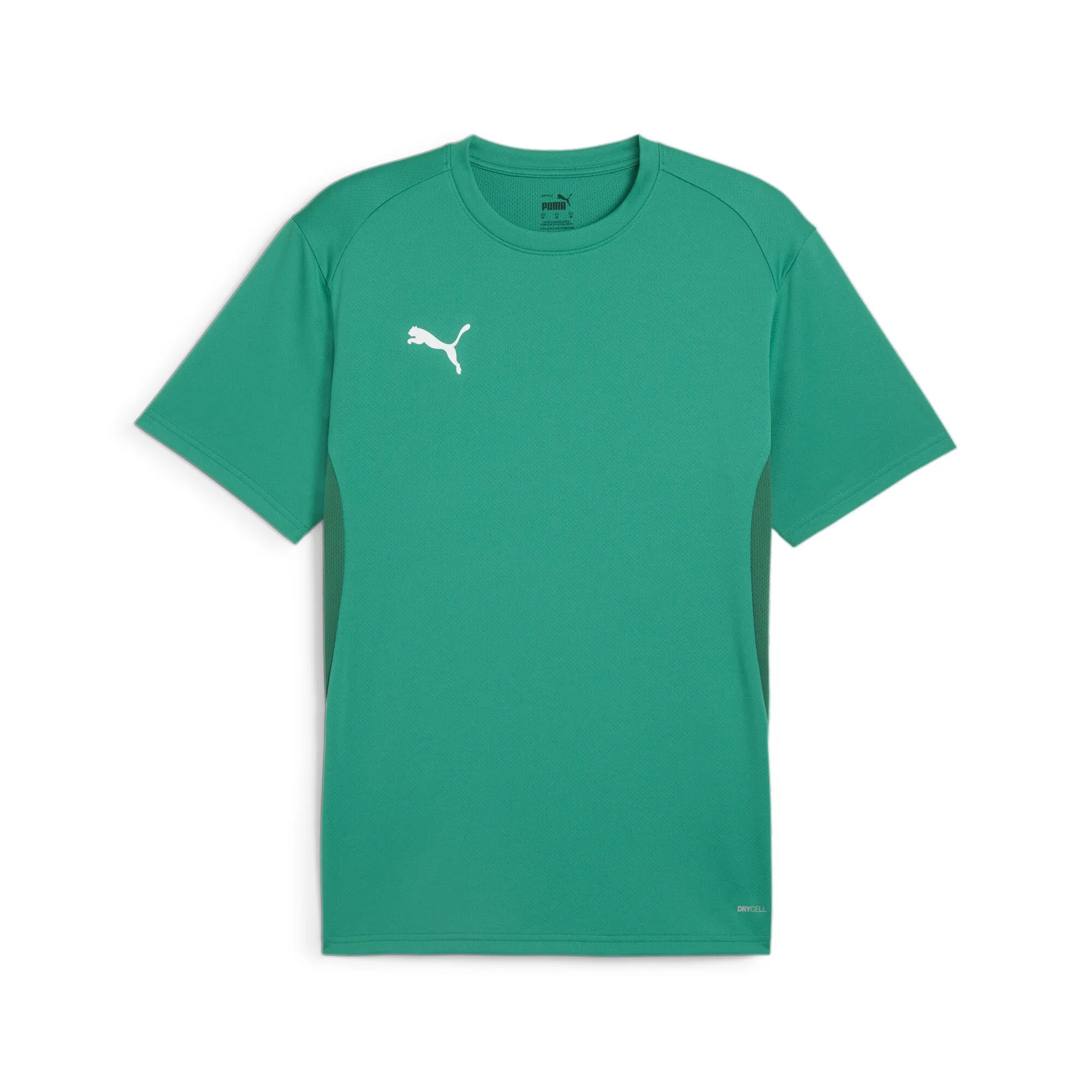 Puma Team Goal Jersey