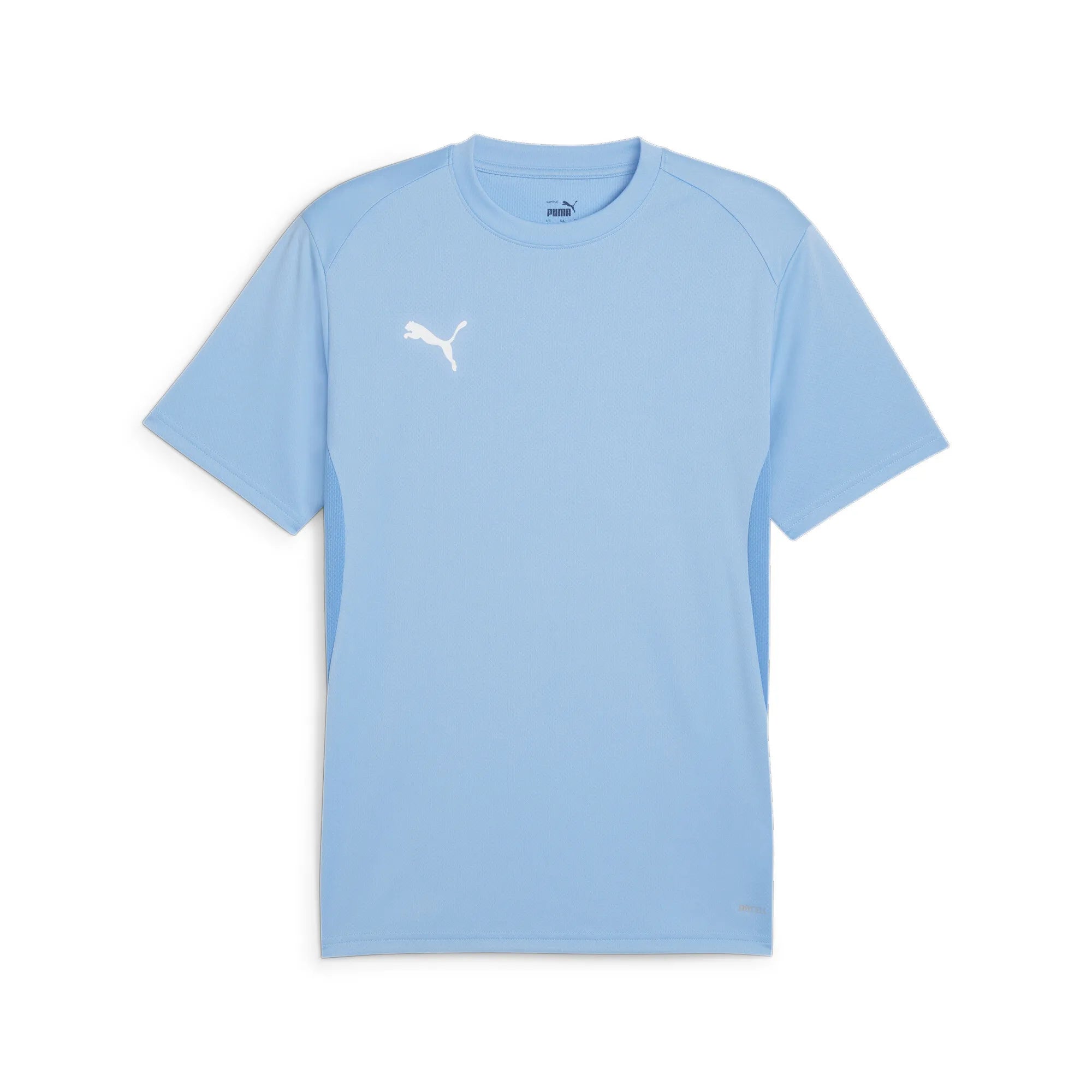 Puma Team Goal Jersey