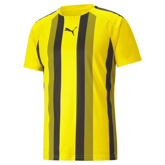 Puma Team Liga Striped Jersey