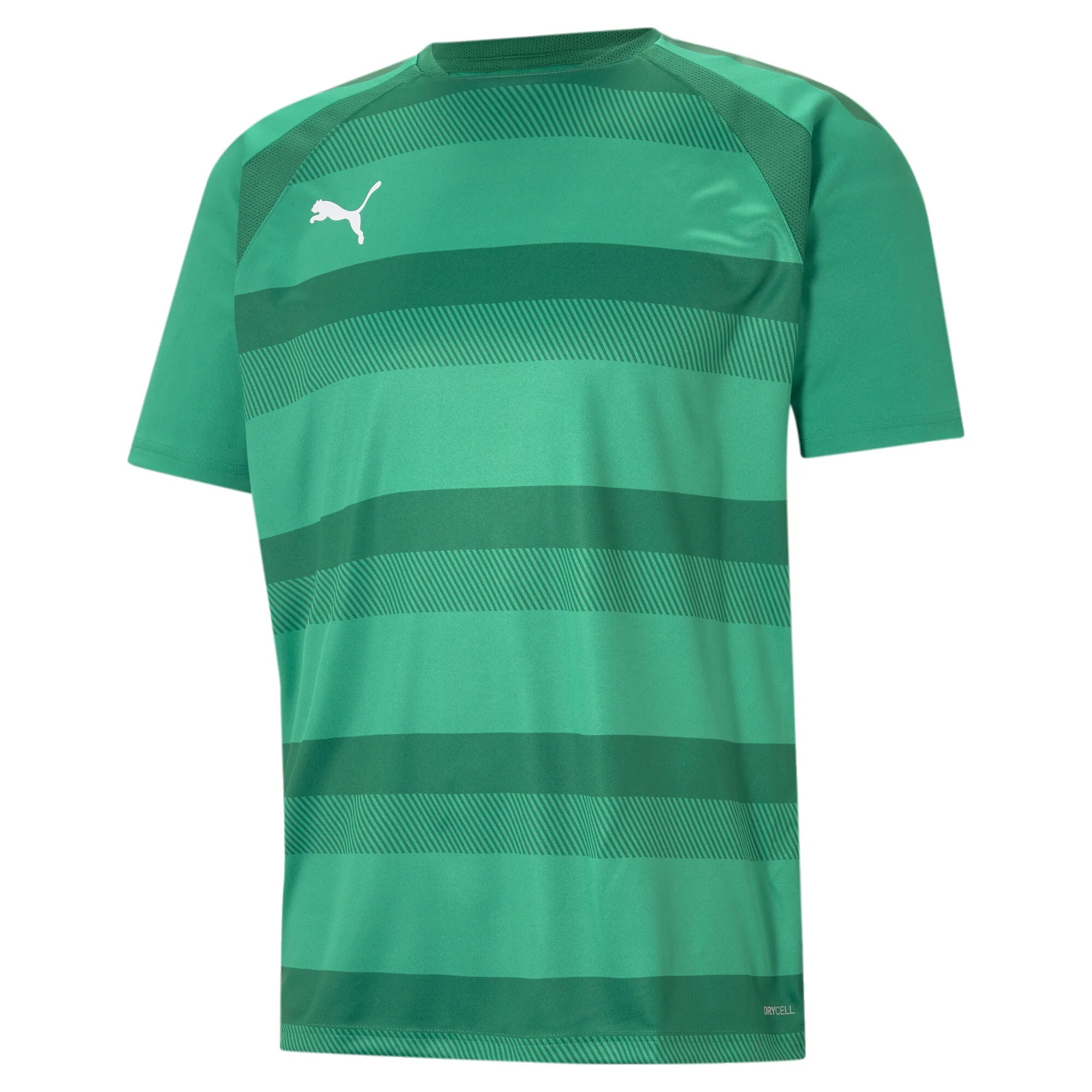 Puma Team Vision Jersey