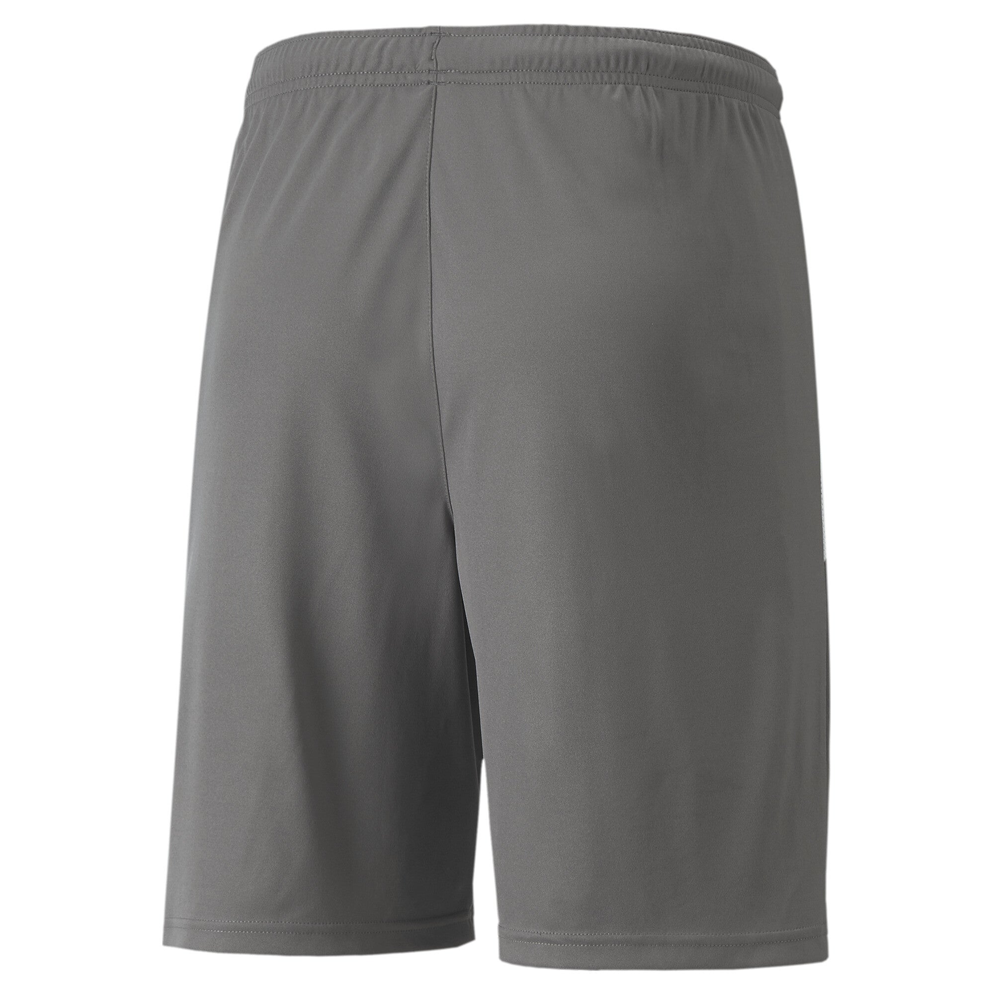 Puma Team Liga Shorts