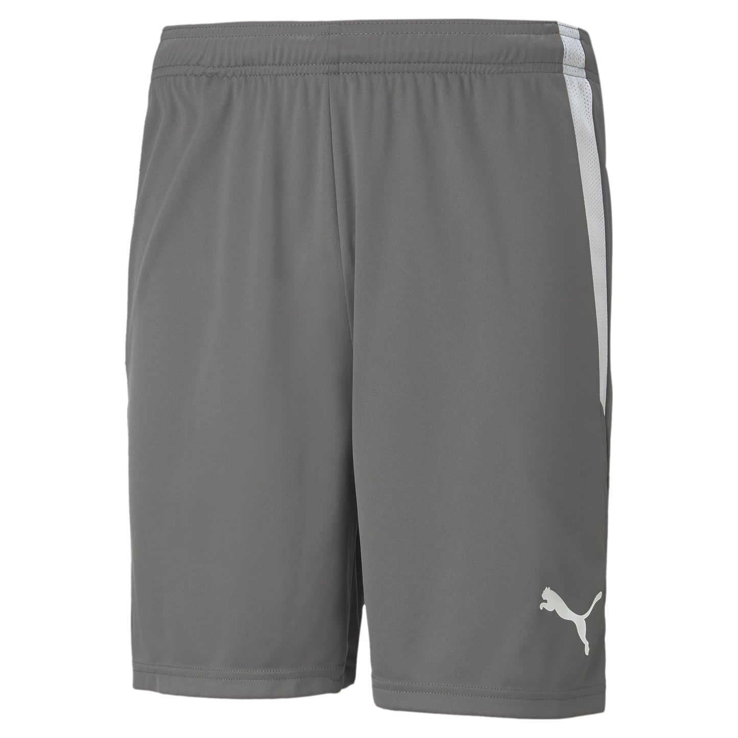 Puma Team Liga Shorts