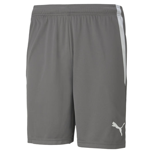 Puma Team Liga Shorts