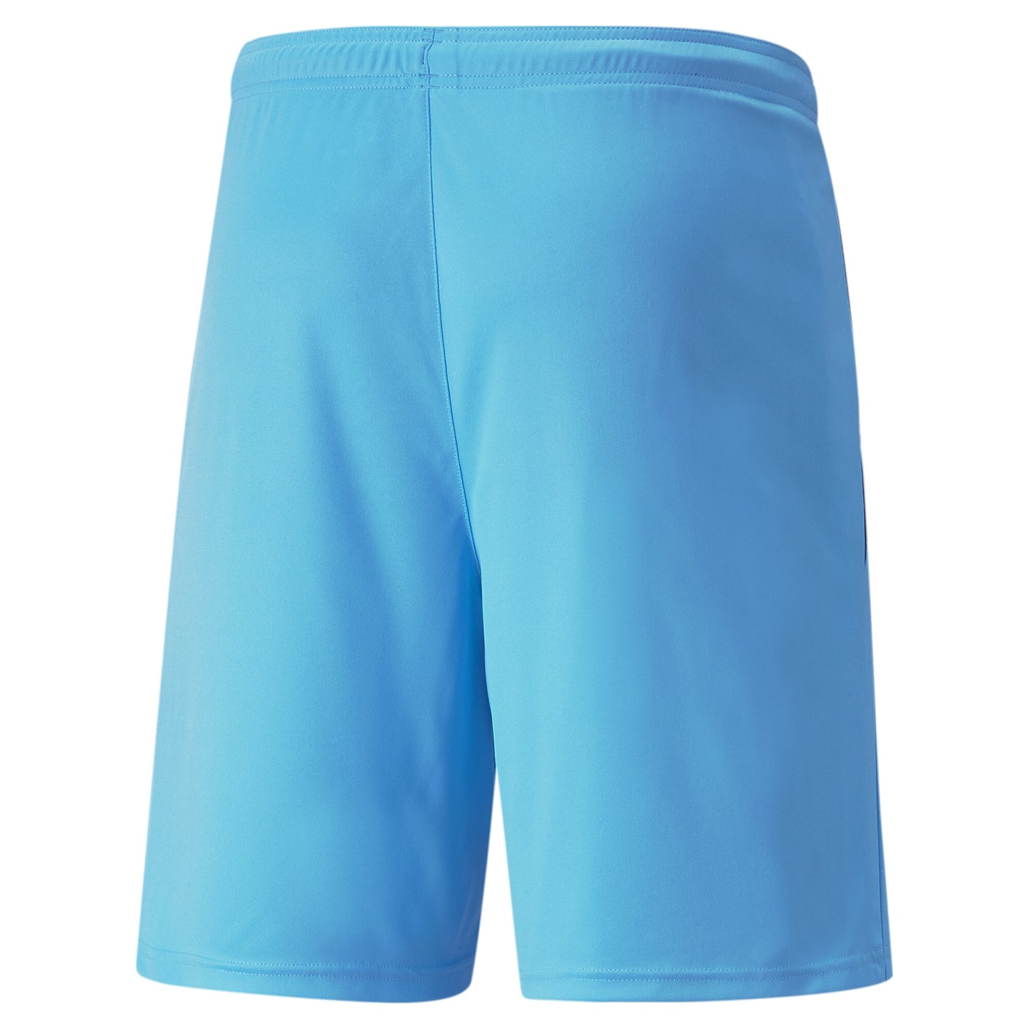 Puma Team Liga Shorts