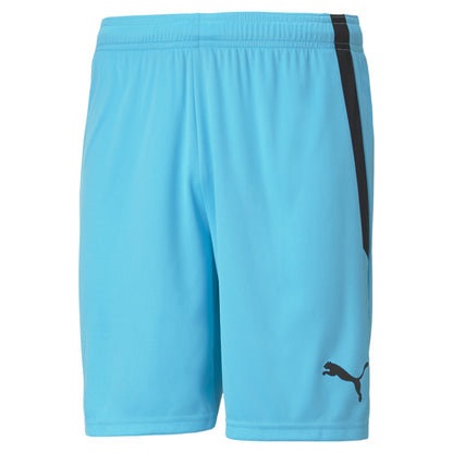 Puma Team Liga Shorts