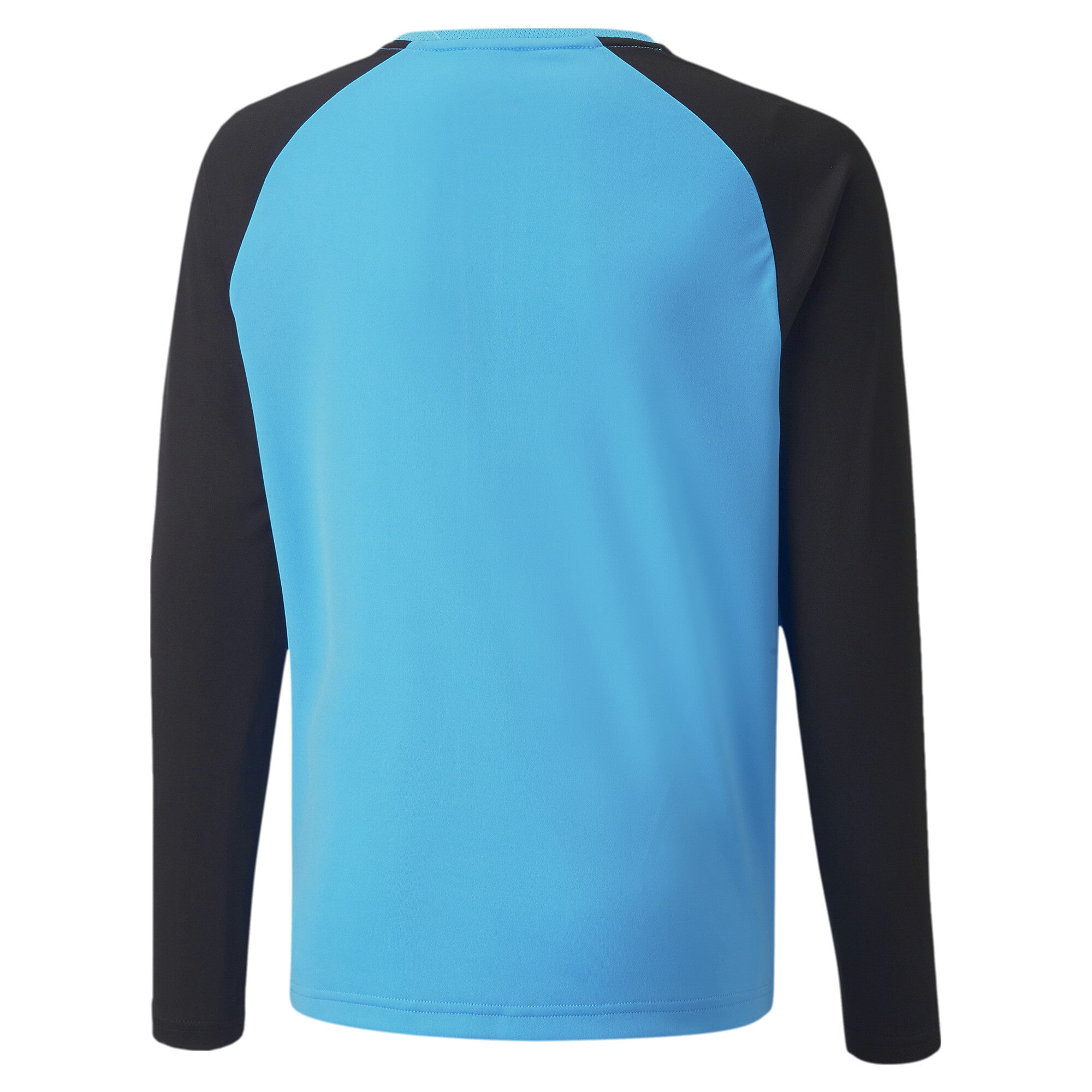 Puma Team Pacer Goalkeeper Jersey