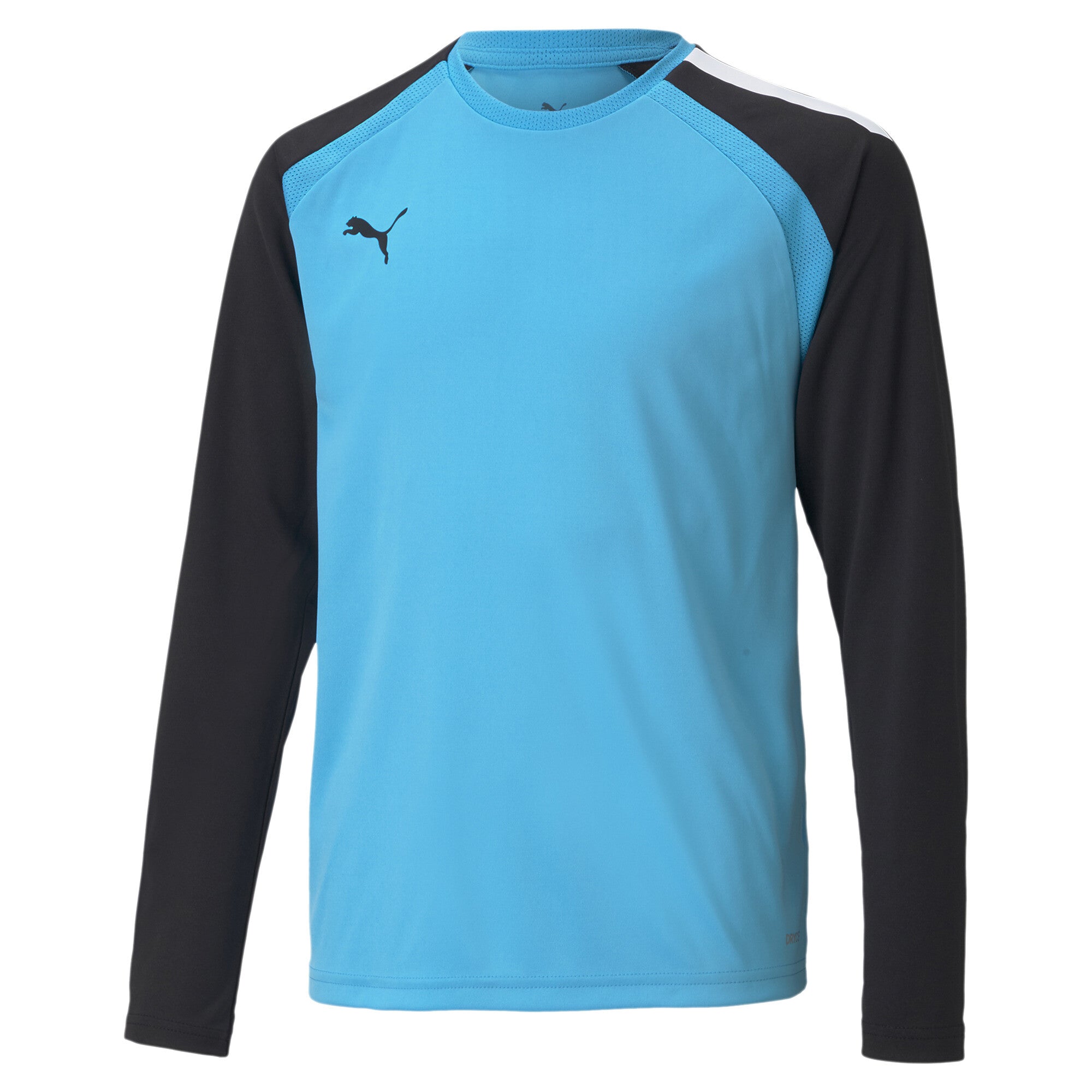 Puma Team Pacer Goalkeeper Jersey