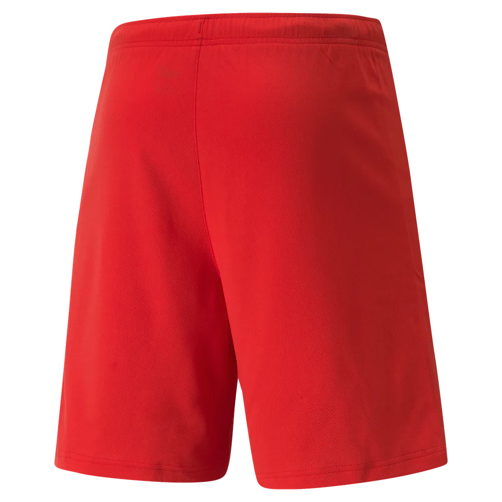 Puma Team Rise Shorts