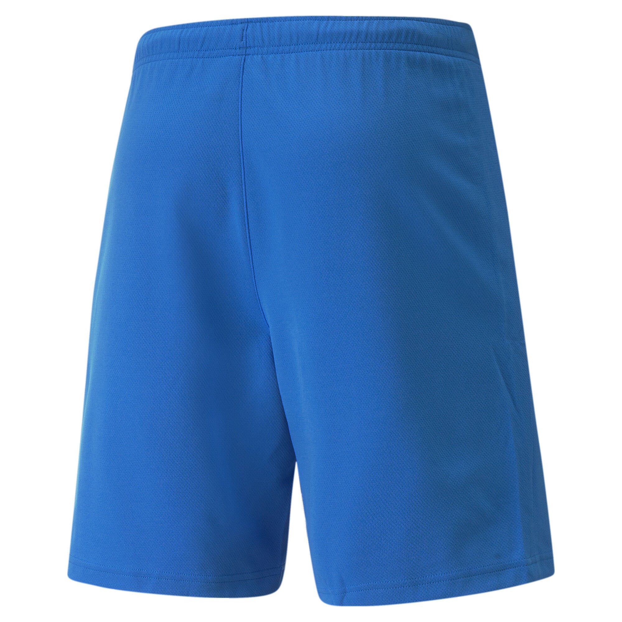 Puma Team Rise Shorts