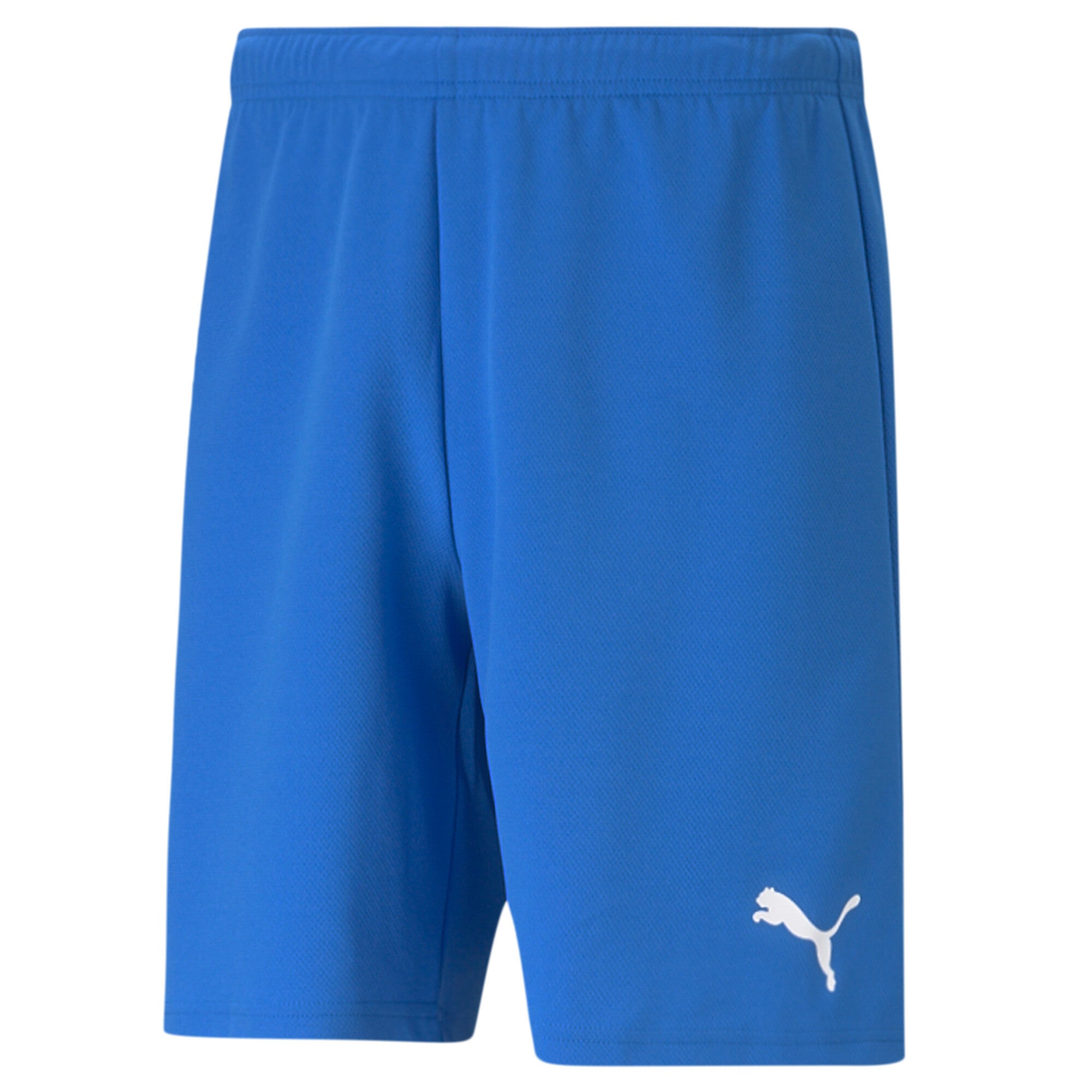 Puma Team Rise Shorts