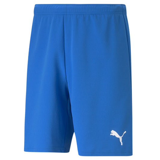 Puma Team Rise Shorts