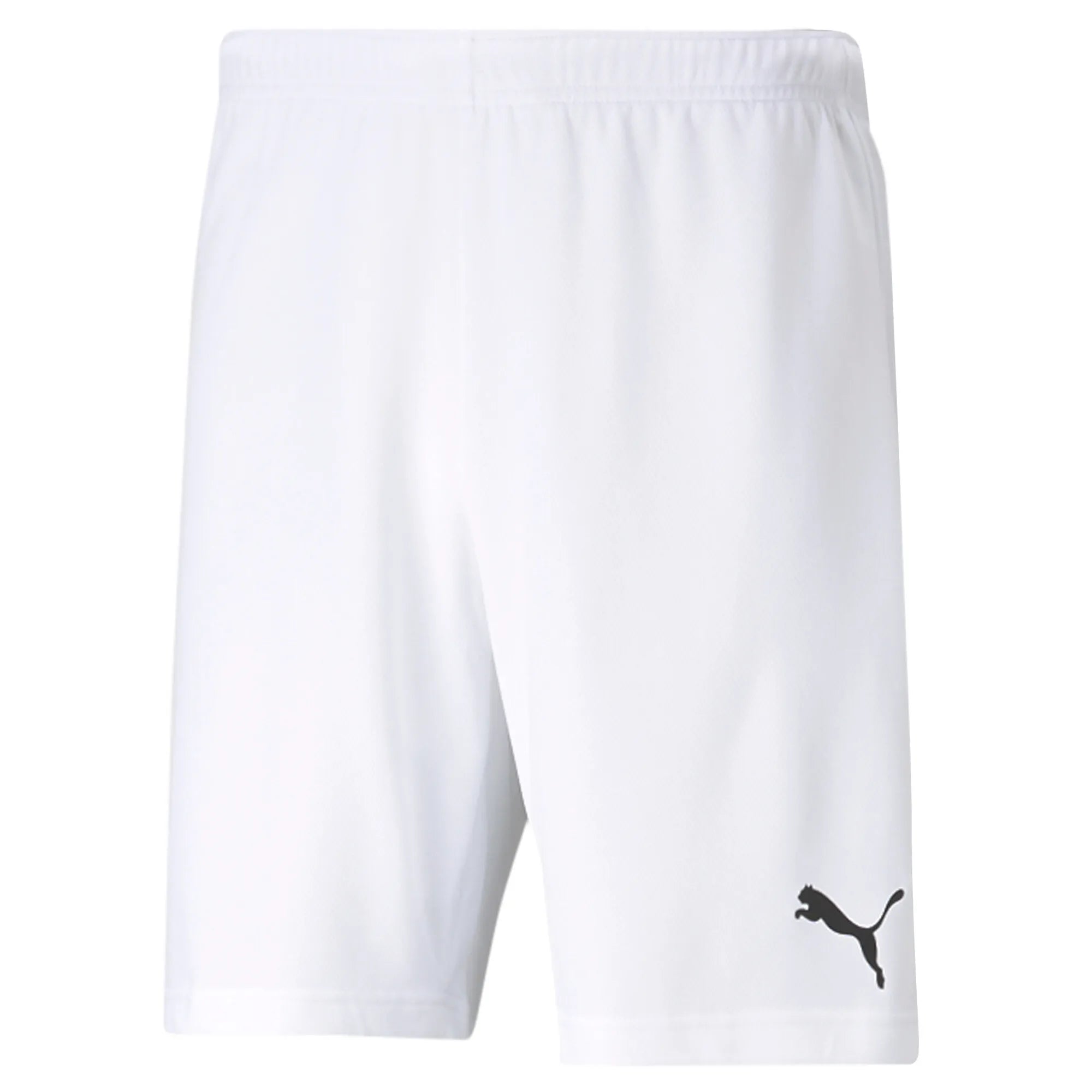 Puma Team Rise Shorts