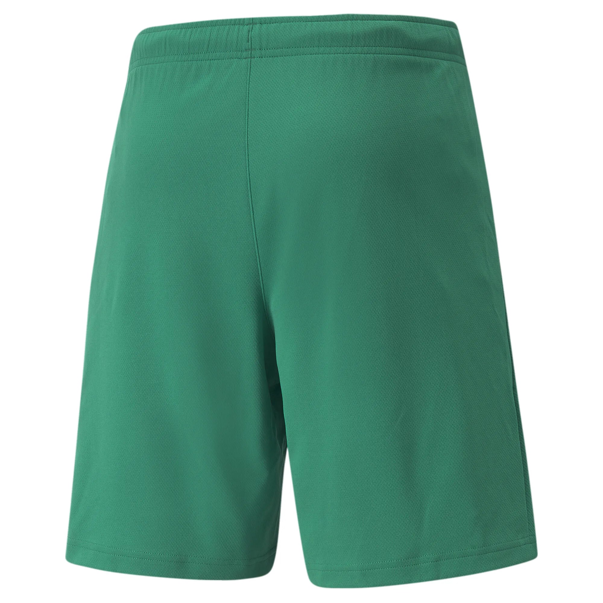Puma Team Rise Shorts