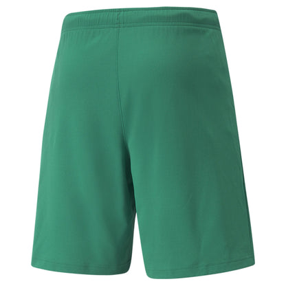 Puma Team Rise Shorts