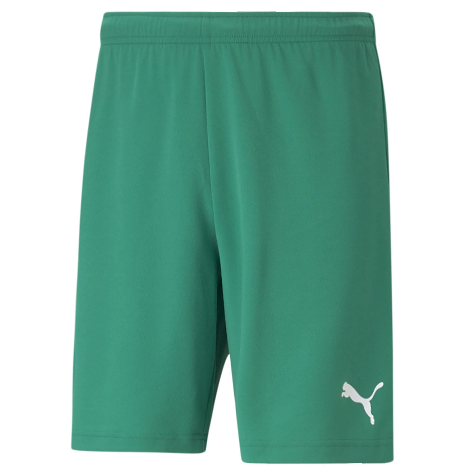 Puma Team Rise Shorts