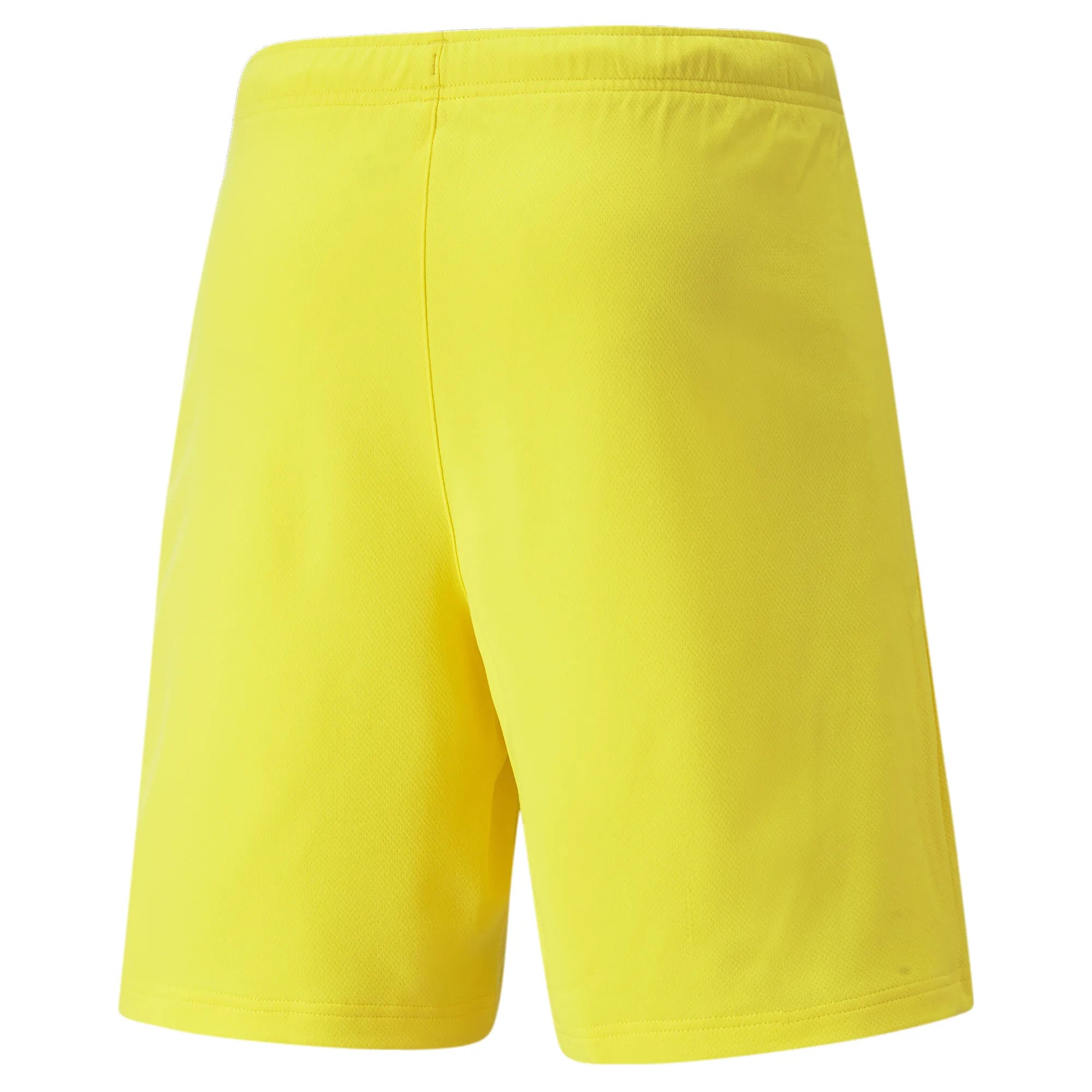 Puma Team Rise Shorts