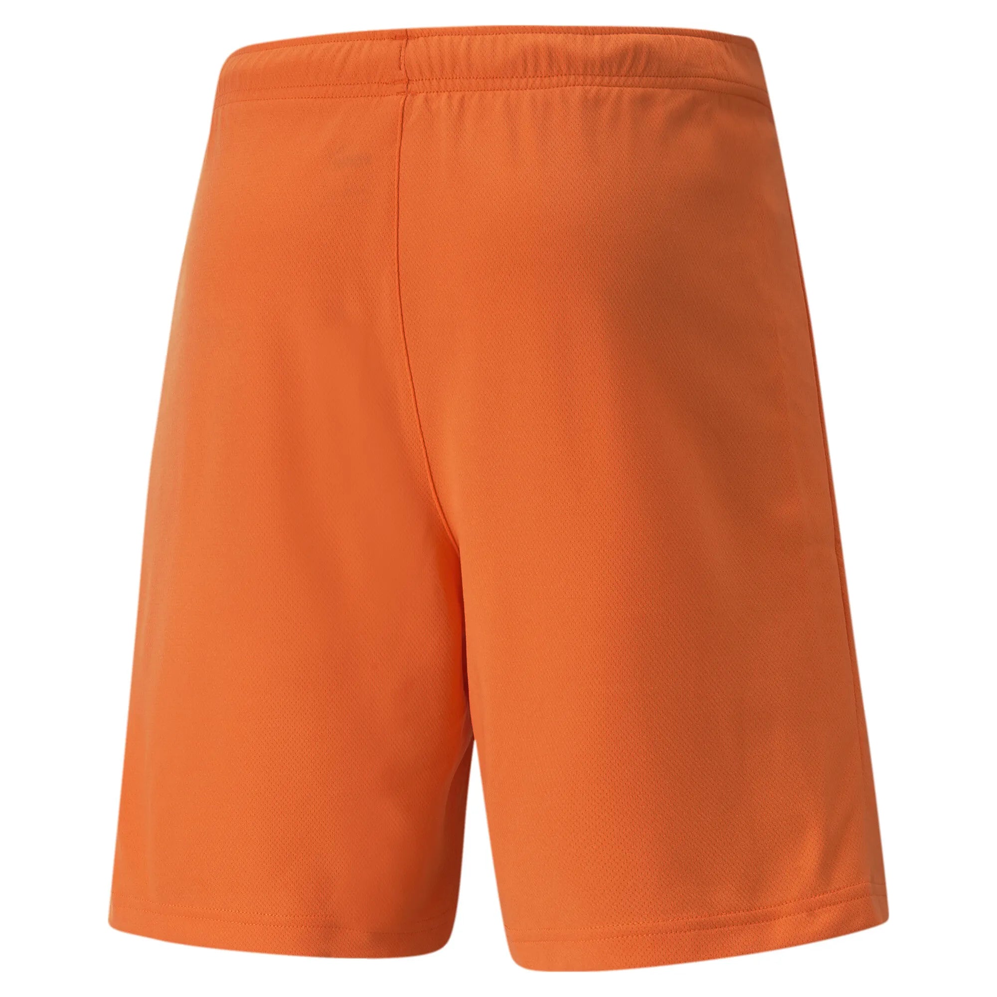 Puma Team Rise Shorts