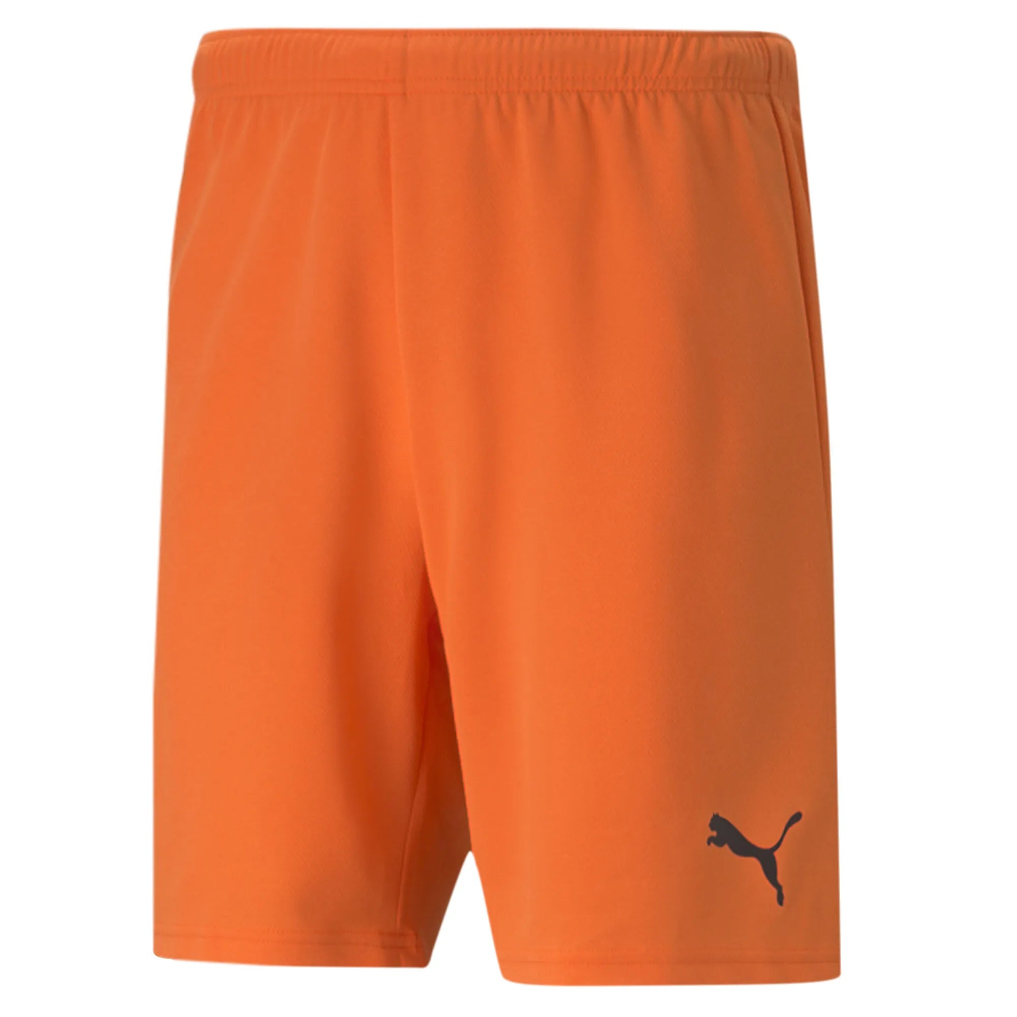 Puma Team Rise Shorts