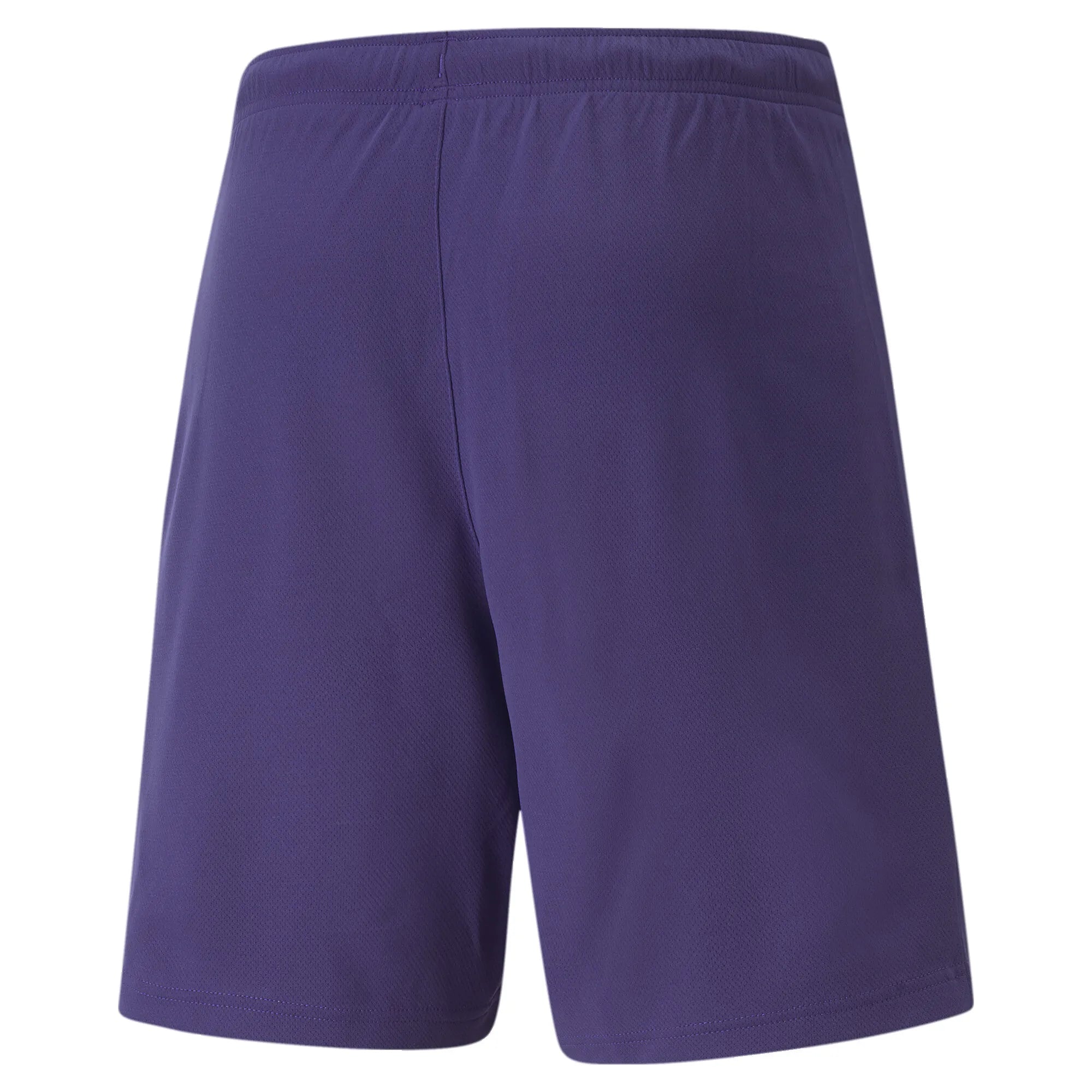 Puma Team Rise Shorts